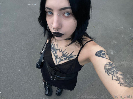 Hello From Zlata 最高のスター ギャラリー