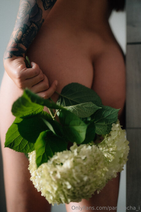 エボニーサマーオンリーファンズ ポルノグラフィック 写真