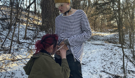 Wornnout HDスター 写真