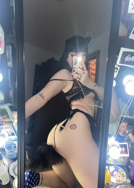 Wornnout トップスター 写真