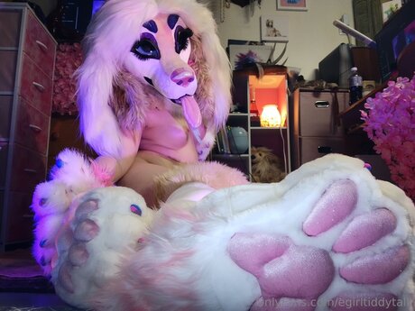 Egirltiddytalk ポルノスター トップ 写真