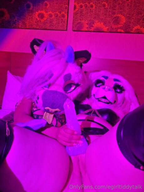Egirltiddytalk トップポルノスター 写真