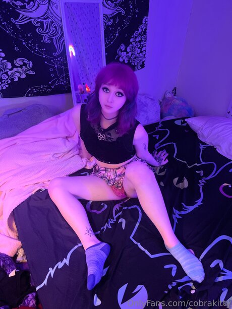 Cobrakitty 素敵なスター 写真