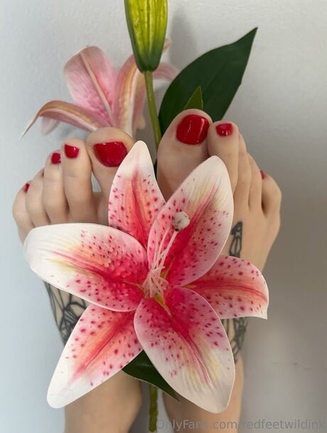 Redfeetwildink 女優 画像
