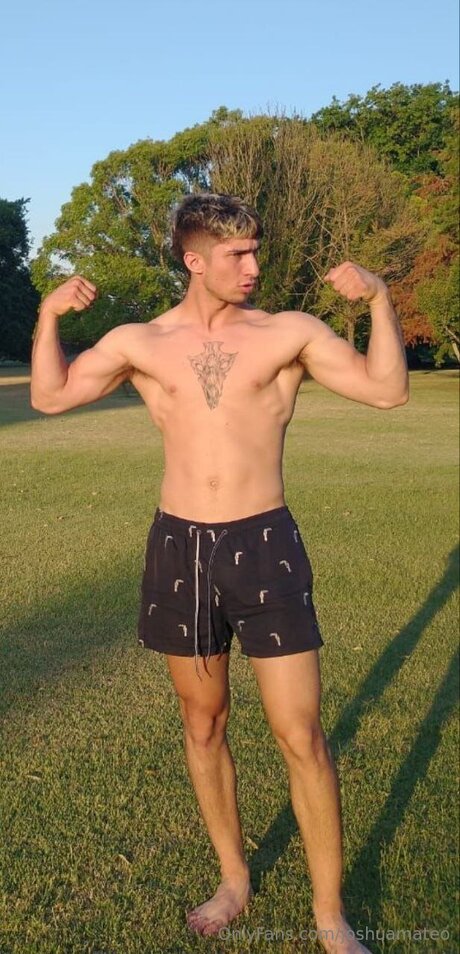 Joshuamateo アートスター ギャラリー