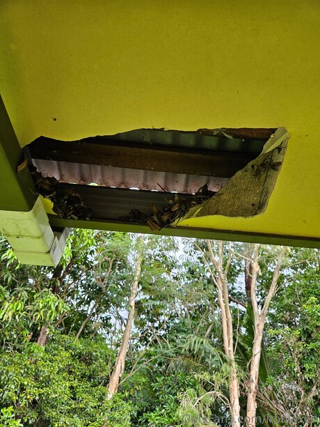 中くらいのおっぱいオンリーファンズ ヌード 写真