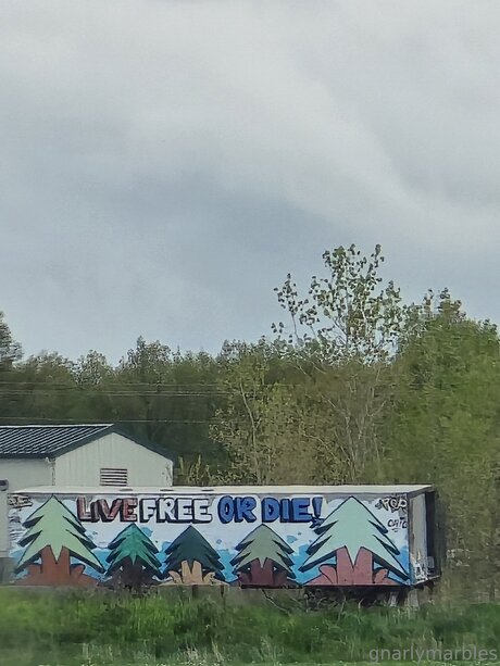 Gnarlymarbles 限定モデル ギャラリー