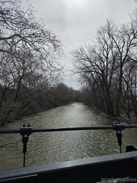 Gnarlymarbles 独占モデル 画像