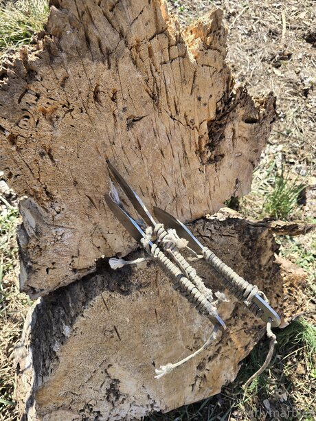 Gnarlymarbles アダルトモデル 画像