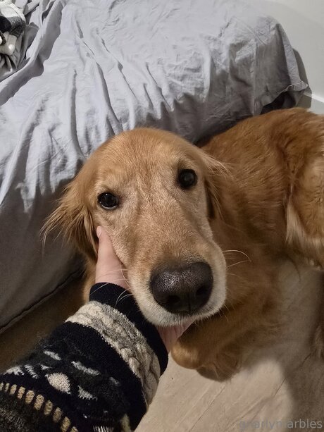 Gnarlymarbles セクシーモデル 画像