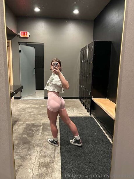 Tinygympawg 高品質モデル 画像