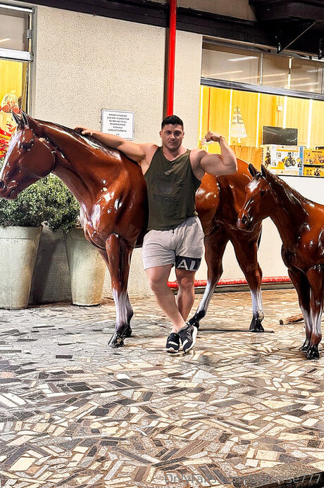 Bighorse777 ホットスター 写真