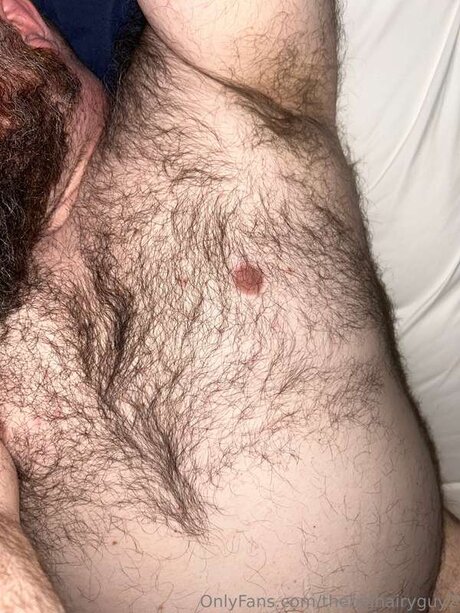 Thebighairyguy2 高品質女優 画像