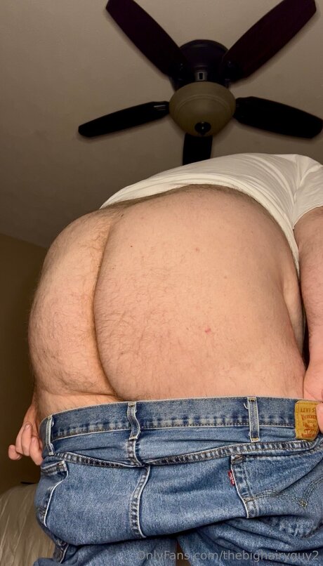 Thebighairyguy2 最高のポルノスター 写真
