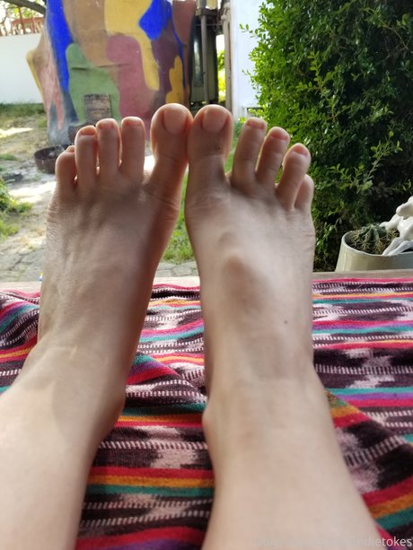 Blondie Blooms ポルノスター 写真