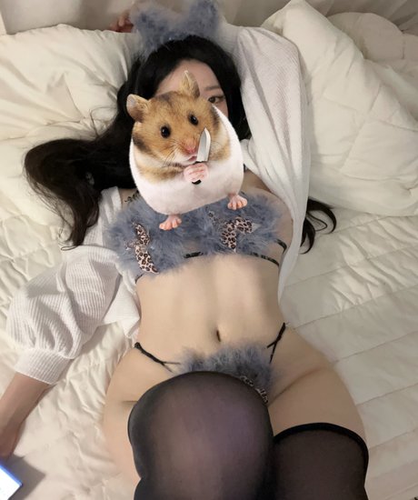 Evawishx HDモデル 写真