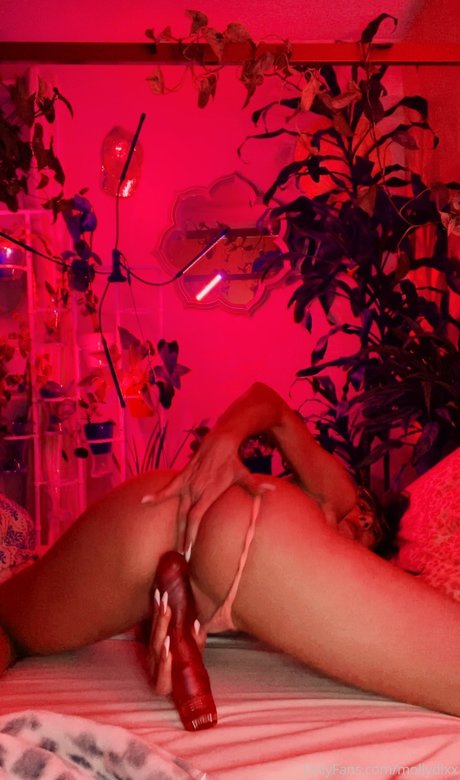 Molly Dixx 高品質モデル 写真