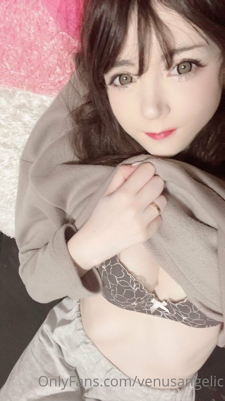 Venus Angelic ヌードモデル 写真