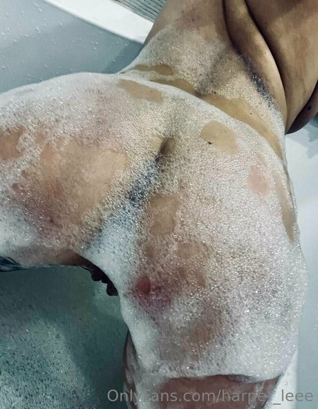 harper leee ポルノスター 可愛い 画像