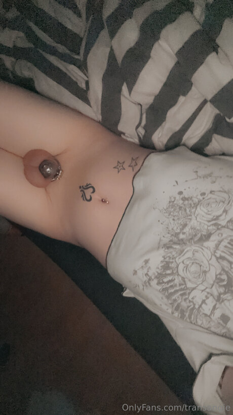 Transangie HDスター 画像