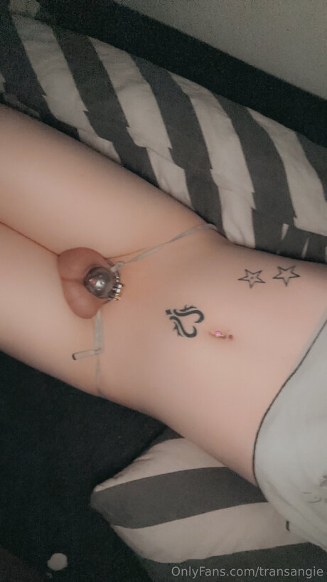 Transangie 無料のポルノスター アーカイブ