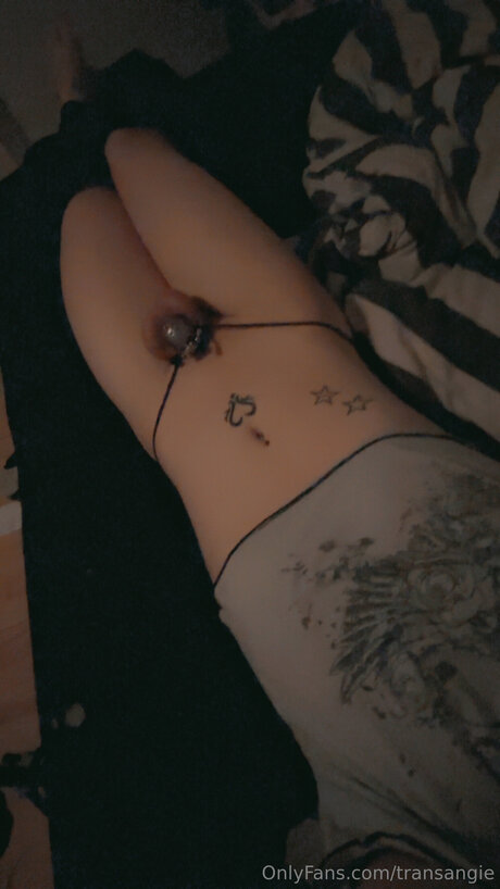 Transangie ポルノスター 画像