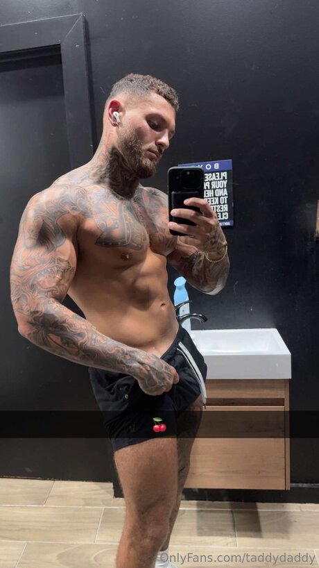 Taddydaddy 無料のスター 写真