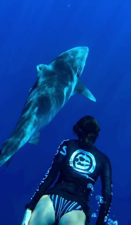 Nina Dobrev エロティック女優 アーカイブ