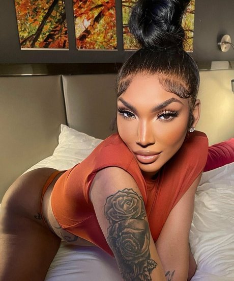 Tokyo Stylez アートポルノスター 写真