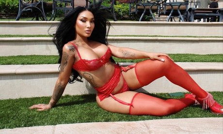 Tokyo Stylez HDモデル 写真