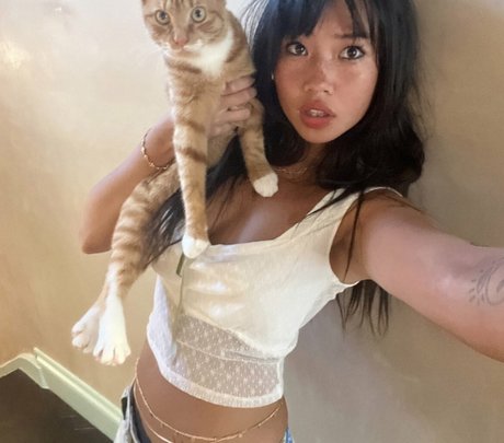 Radvxz 素敵なスター 写真