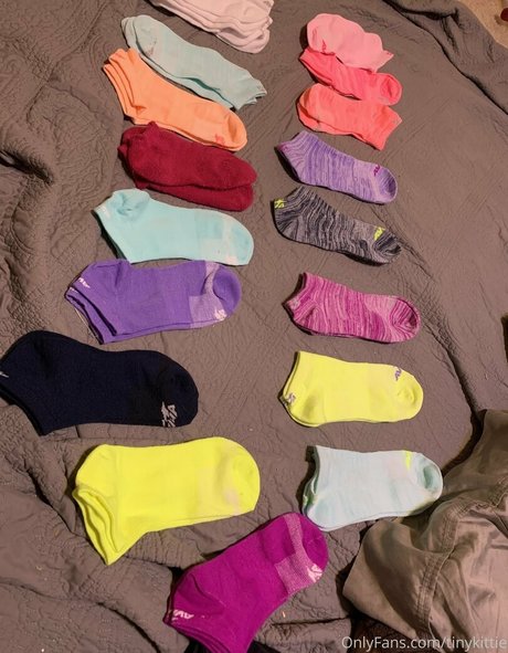 tinykittie アートスター 写真