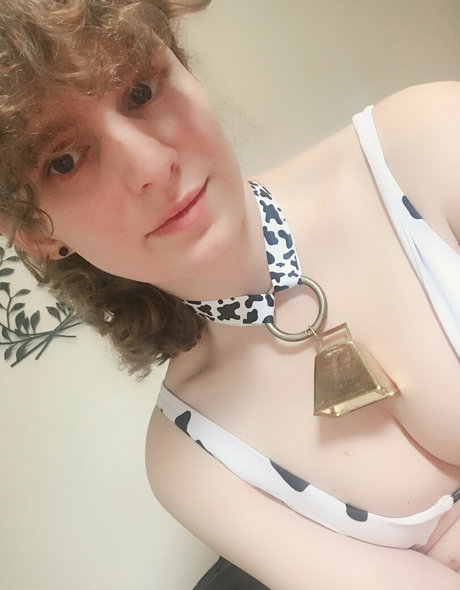 parkdaleart 美しいスター 写真