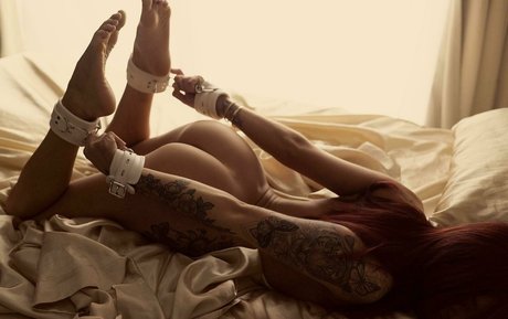 acidalexonly xxx女優 画像