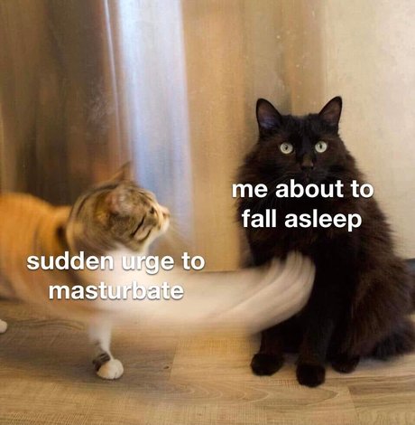 ヌード自撮りオンリーファンズ ベスト 写真