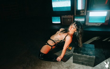 Reed Suicide 完璧な女優 写真