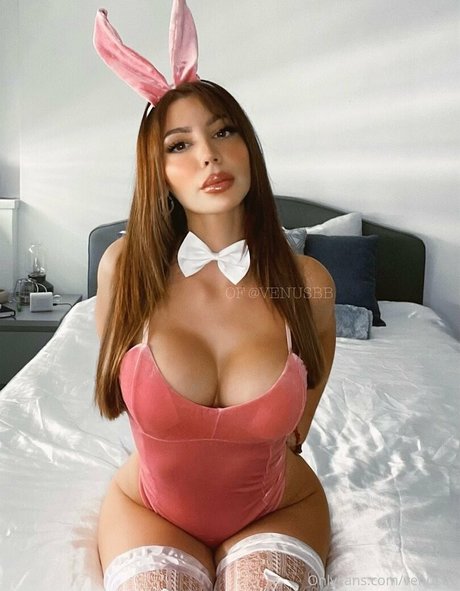 Venusbb ポルノスター セクシー 写真