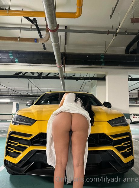 Lily Adrianne ポルノスター パーフェクト 写真