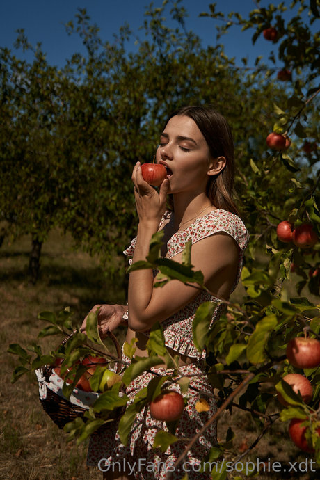 sophie xdt 無料女優 画像