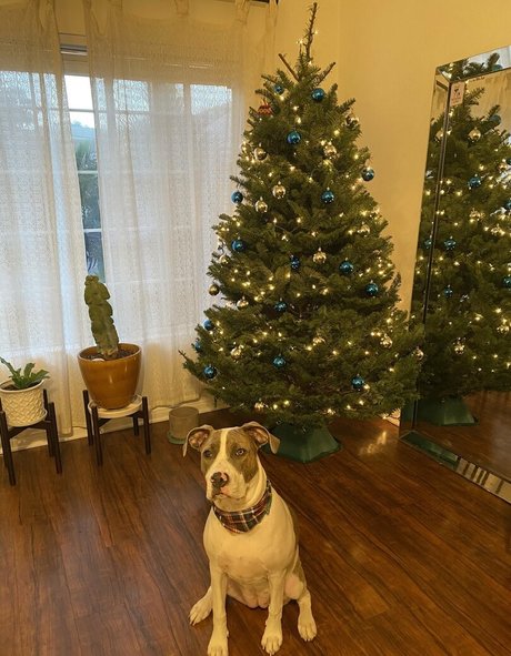 アジア人の指入れ オンリーファンズ 無料セックス ギャラリー