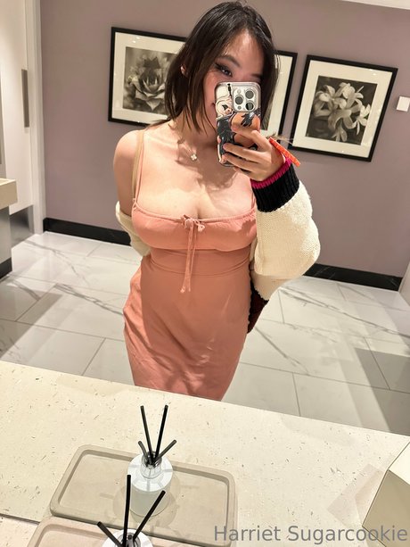 Harriet Sugarcookie HDポルノスター 画像