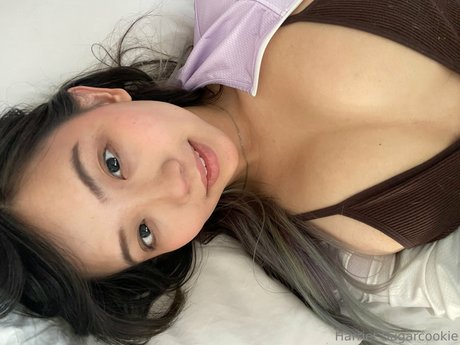 Harriet Sugarcookie 高品質モデル アーカイブ