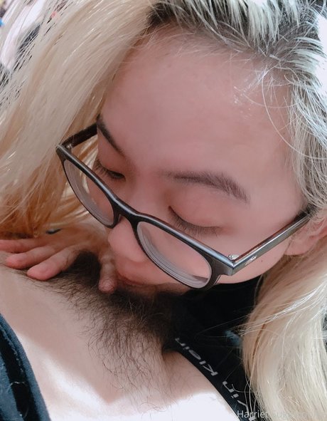 Harriet Sugarcookie 無料スター 写真