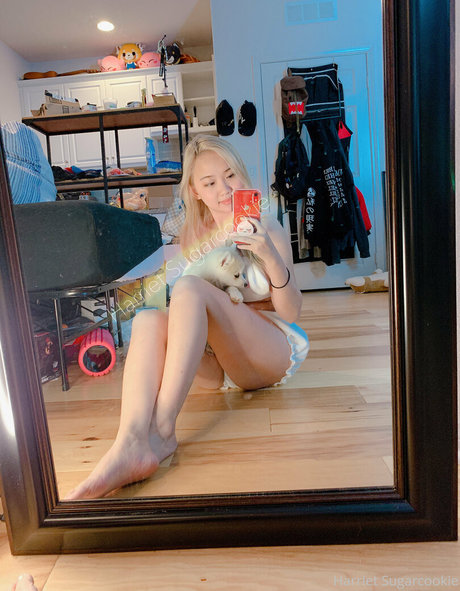 Harriet Sugarcookie スター 裸 ギャラリー