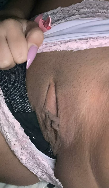 ferrerr emily 無料スター 画像