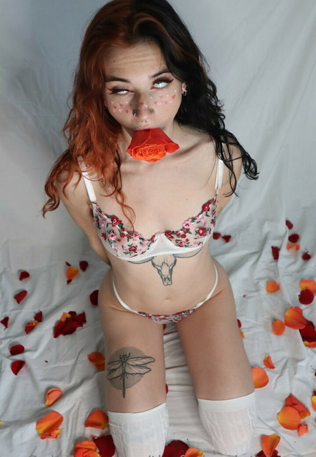 ランジェリーヌードオンリーファンズ アート裸 写真