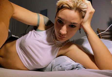 Ohnips 美しいポルノスター アーカイブ
