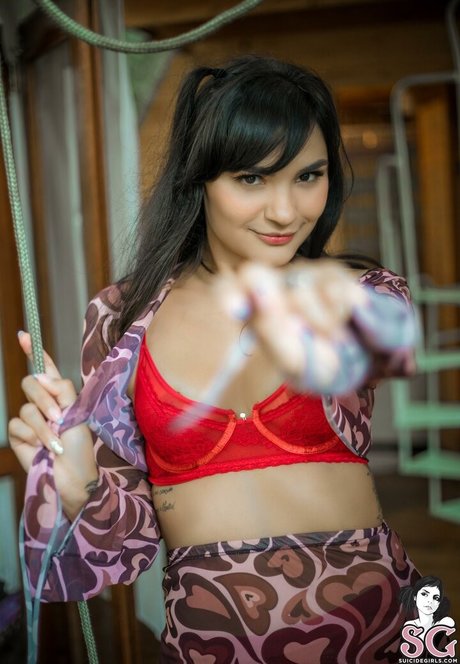 Maria Confort profile image