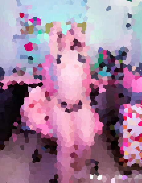 Starry Yume セクシーなスター 画像