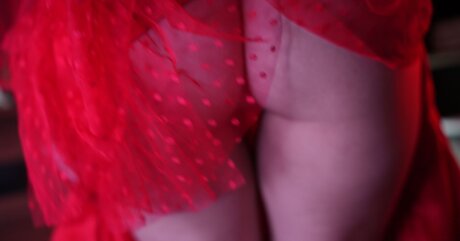 Pokket profile image